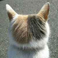 Ddd8b79d42829e0ef7576ee21411f4868d824461