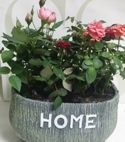 E9469d6b80f3dd93d1035cda9ed571ea6791f248