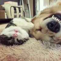 5af4edf39f8e2cfefbf6c243a3eec9bbc8776baa