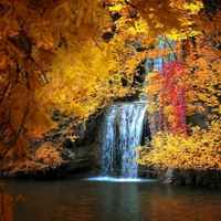 5f615dfd41ce3b079c44c07e882548cbbff2b406