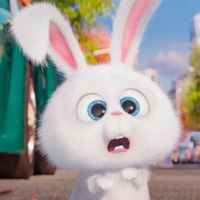 6f1bcc30f150efa88bbb6eee9563adecd9290706