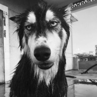 88907e2d696d2cd99ace38a76df2113f439d35fd