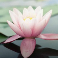 A58120eed6ef5b27a6673d2f7b8c8c328de3f216