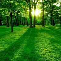 Aad33ad8db97e389dd40d5e84298ce031f966f18