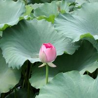 933edbe45b17ee6f453780721b1ad3a577e8ebd0