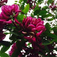 Efd7ccc95b0a5788586f1f3ce9a330f2e153ca8a