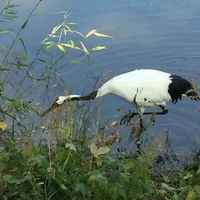 183569bf6d46803364760dd4af7a538058635dc0