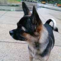 28fbfeb8cf3dbbbe69f3bbc3c5c07d12a5e72dc8