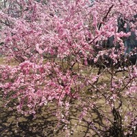 04a6eb3cb5ba31107003bd03c3b2bb334c199fee