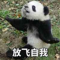 28ac9b8cbb92a1e1077de731b9e7edf5174f252c