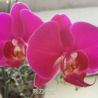 B6c54cc60ec3c3f3cff8383df11df3543b028c89