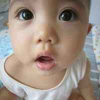 B9fcf7a7c787fc78bbbac0ab36cd2228bae84c36