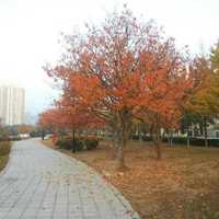 874f4c20159d0e09b86a86712560852788e94e0b