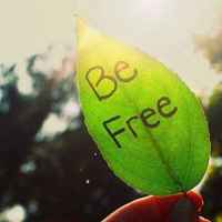 Aa392ea3d8ba028c3e3eff4da9692389df0959b2