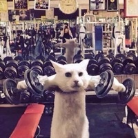 8d0b2a7471cfac95bc654d3c7ed6ee277c74fd6e