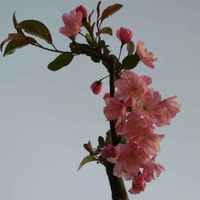 2185d71fda979c0ccd48c468b03285f9ff50fa22