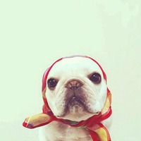 9dc7642944aa92aa2239103fad9b93ff338dcda8