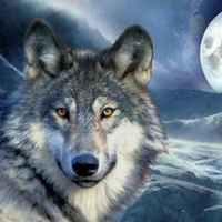 199abe6fe2419e98e5ca2b23561344e211973f1a