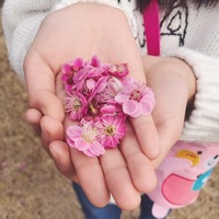 E98d75b86f7451952aa59977c827bf16ac0598a4