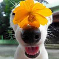 9bacd902f413f236ee1190376546607001cde43d