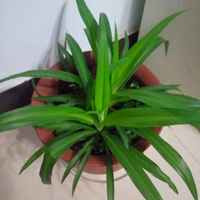 128b2976d3825dc768030576ffc70ebcba882886