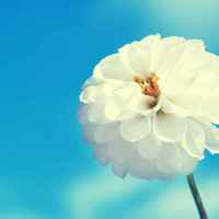 75b2311248df6f6d895514925ebf44ac2c2c866e