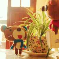 3fbb1b9bc79f55a8c2f520b174ad390323f09d6b