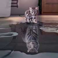 Ed4e148c460d147abae9331fe7c08c15605610c3