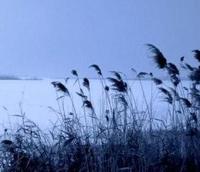 88716de8b04ea57c57305ac93f323fcaa3763fc2