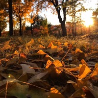 8a477c641660995a553b74a55be7955e05c26cc0