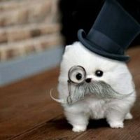 65f6cc299da3fc7355790cb0aba61842889a9cfd