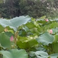 92710f67ccb74570ea77d0a5b38094f92c0ddf9c