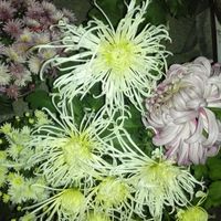 E48d291ac1782ca68fcbd2a8fa36fc830cc74292