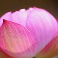 6017ea77900543dbd886b53ef8ed9f6ccb0e2848