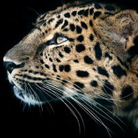 6c906e977b321fc7cf738d24d150d6875eb0d7dd