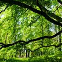 8bdfda9dc9a717b1f943ef65823e6a133b486eb1