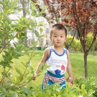 Fbcbc8dbd0c8e745f4af4c00b3594e5abd43c45d