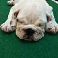 Bd965e33d9ce922391cfe94aa49150dd2c7d6015