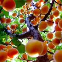 Ab1b23c34aa807aff2e47a9477a8dc32b1f946bb