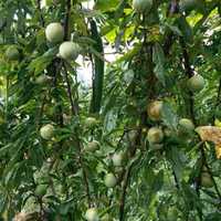 68f85b8ca3db620edd5e7111f70d2ef37bbac65e