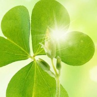 F980dc4c5c4482cad19787e661ef25bef226691c