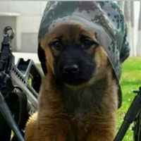 Ae2ccc5f829fb7659182910899a9c9290a4c7b89