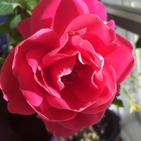 6331f814fc91022e97d762f993de3af6ccce0edc