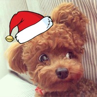 B25dbd6fdd731bd3713ee2b9b677229ad93984e9