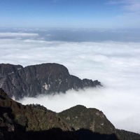 8bfd7c2449054a16c3ff028125b925fd70437402