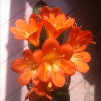 6a1edc05ed55afd4b290009b5f7e000175574cd8