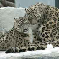 0f1d7b40ce698878f8642b4175bbd7cf57928102