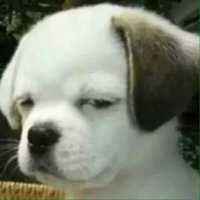 9a90959de55e7849dc0b7b638d2eb78a4a0422c8