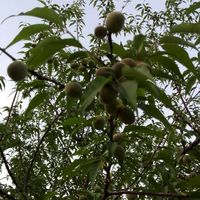 Df3d48a7bac4409390b1c2527ca5ff521292f115