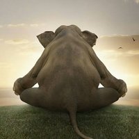 48657a3f34f0d05da64b5dc8ab7a0fce9c20ffec